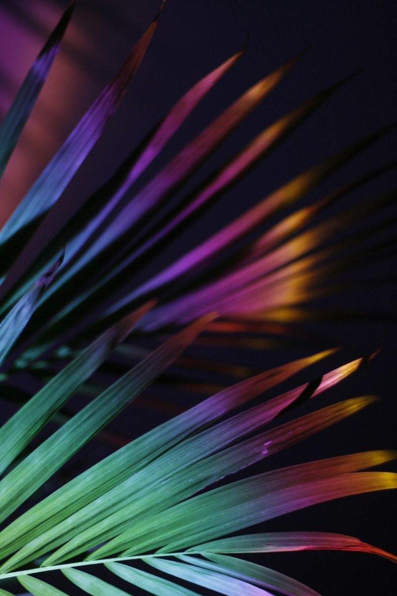 陶芸アートスタジオ和心